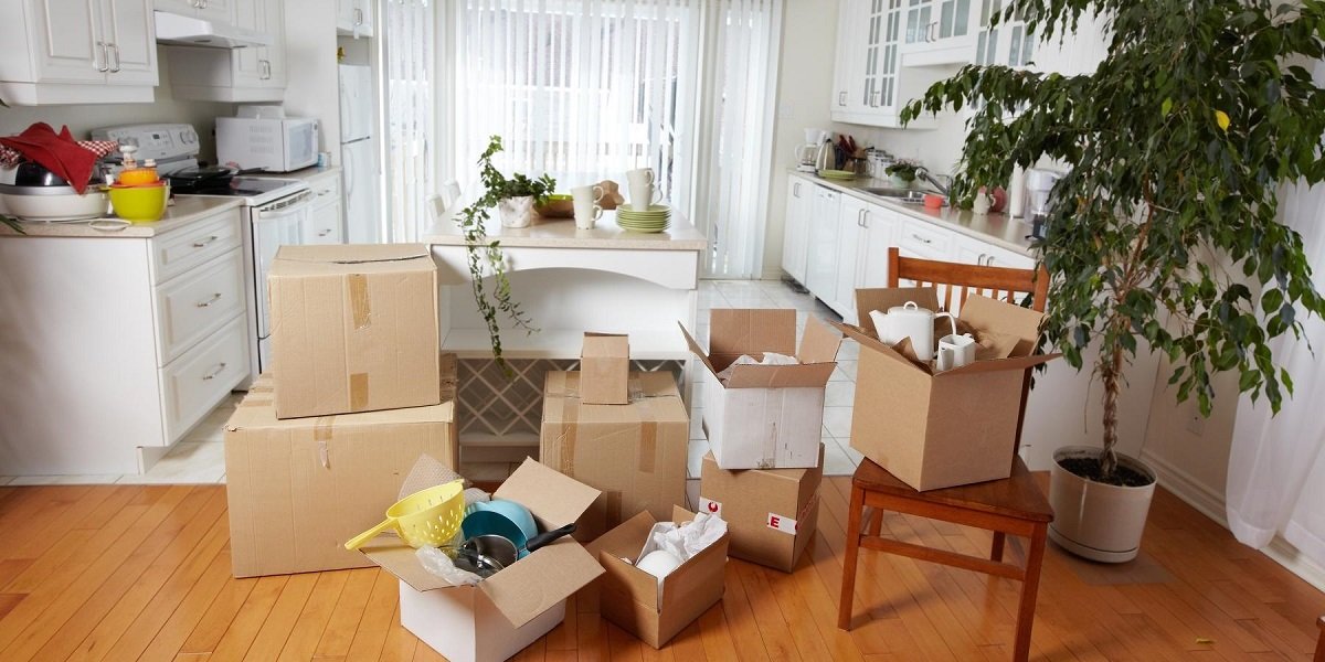 dtdc Packers Movers in delhi